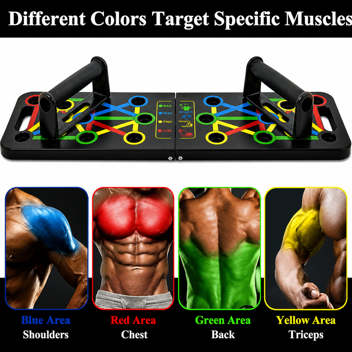 Portable Muscle and Strength Training Board