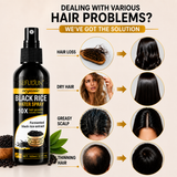 Black Rice Water Spray For Hair Root Strengthening & Growth (Pack Of 2)